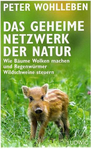 Wohlleben, Das geheime Netzwerk der Natur.