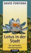 Fontana Lotus in der Stadt.