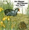 Luff, Am Wasser mit Pflanzen und Tieren.