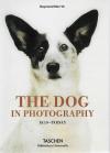 Merritt, The dog in photography