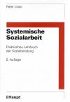 Lüssi, Systemische Sozialarbeit.